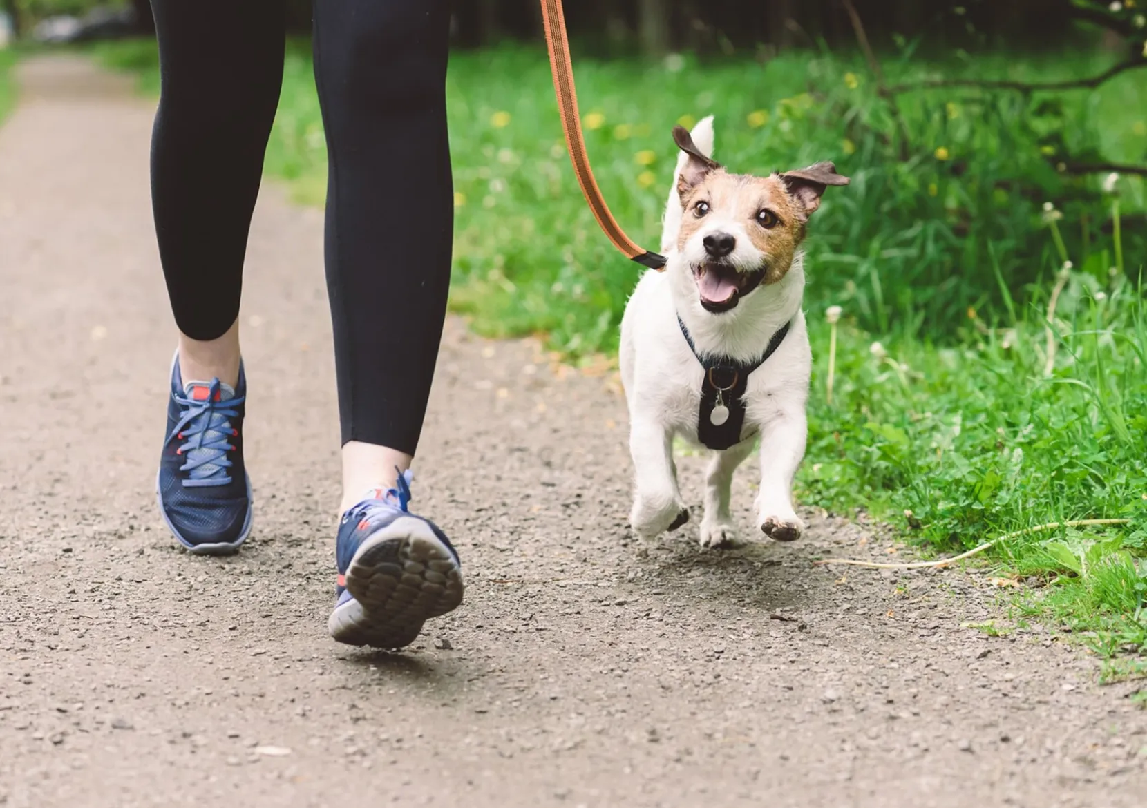 Carrousel quartier 1