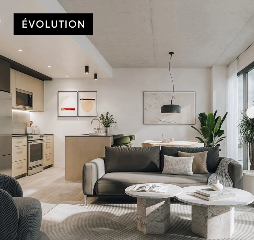 Projet photo evolution